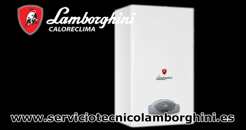 Servicio Técnico Lamborghini Ávila
